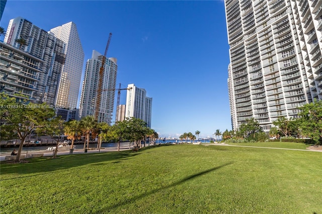 surrounding community featuring a lawn and a view of city