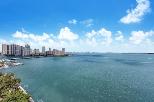 1155 Brickell Bay Dr Unit 1210, Miami, FL 33131 - photo 14