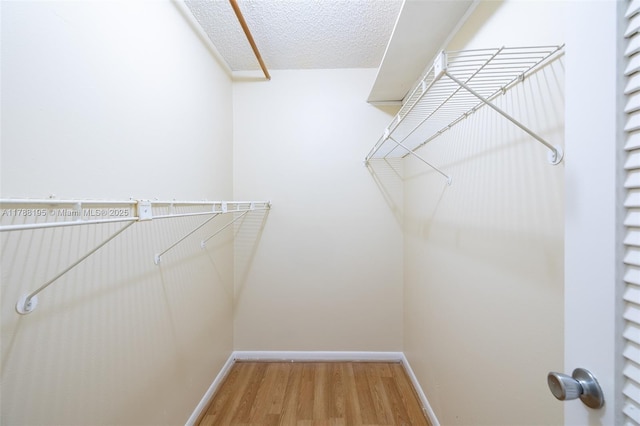 1171 NW 88th Way, Plantation, FL 33322 - spacious closet featuring light wood finished floors