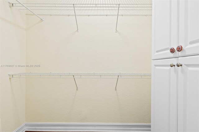 419 SW 5th St Unit 419, Fort Lauderdale, FL 33315 - view of spacious closet