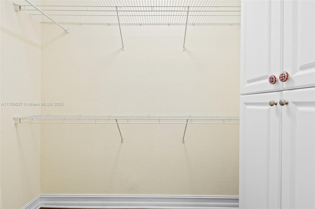 view of walk in closet