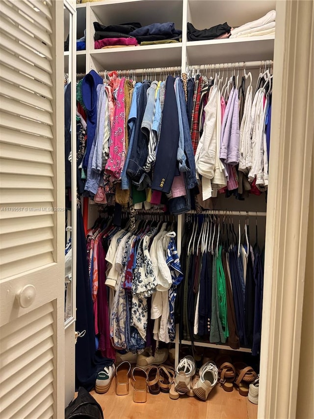 15357 SW 43rd Ter, Miami, FL 33185 - view of closet