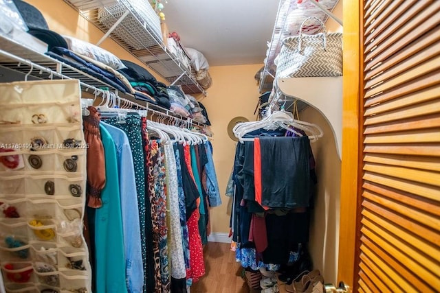 walk in closet with wood finished floors
