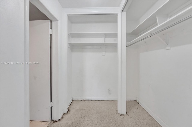 view of spacious closet