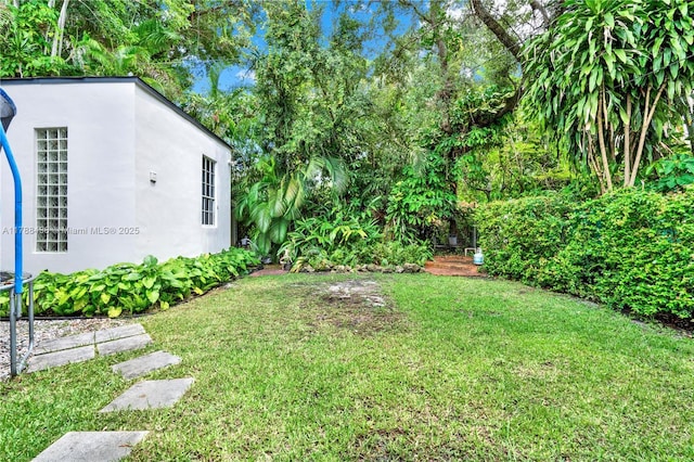 3730 Kumquat Ave, Miami, FL 33133 - view of yard