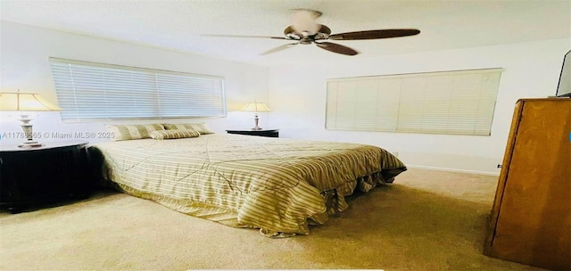 497 W Tilford W Unit W, Deerfield Beach, FL 33442 - carpeted bedroom featuring ceiling fan