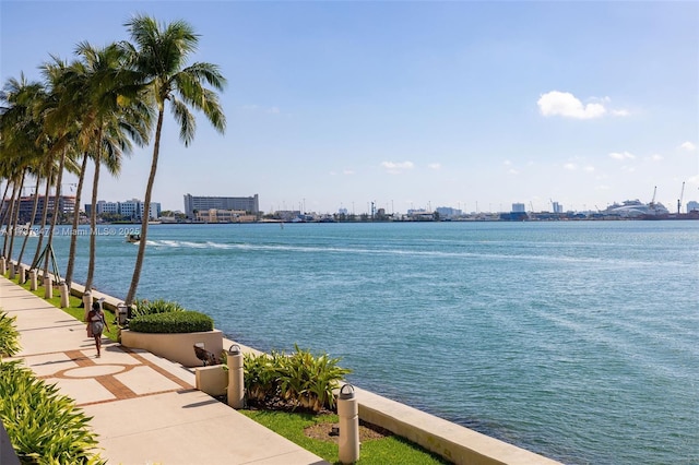 520 Brickell Key Dr Unit A201, Miami, FL 33131 - water view with a city view