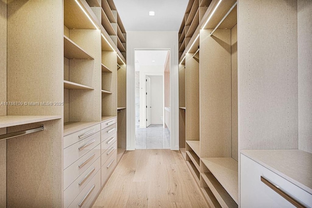 walk in closet with light wood-style floors