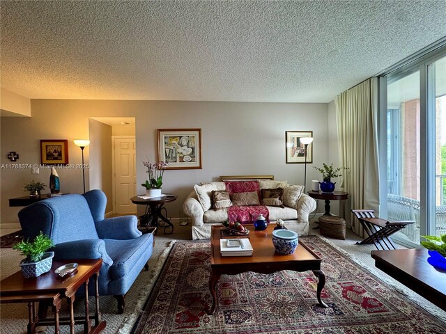 living area with a textured ceiling, carpet, and a healthy amount of sunlight