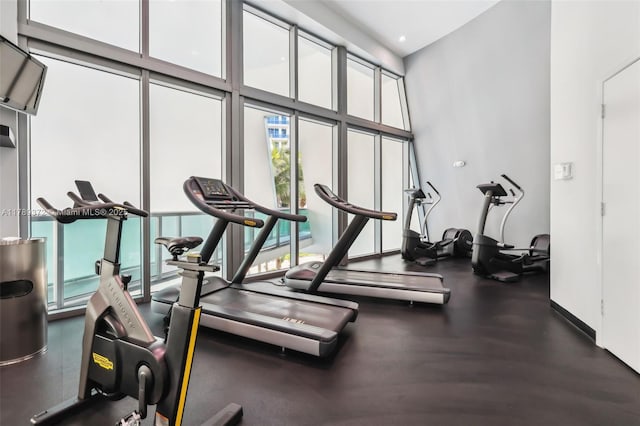 workout area with a high ceiling