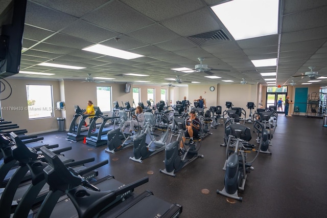 exercise room featuring ceiling fan, a healthy amount of sunlight, visible vents, and a paneled ceiling