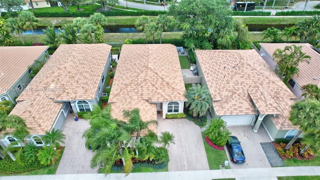 bird's eye view