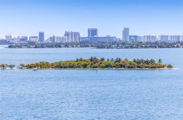 665 NE 25th St Unit 1201, Miami, FL 33137 - view of water feature with a view of city