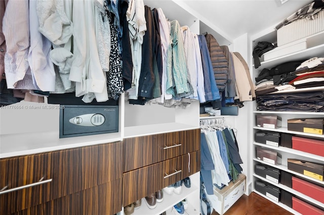665 NE 25th St Unit 1201, Miami, FL 33137 - view of walk in closet