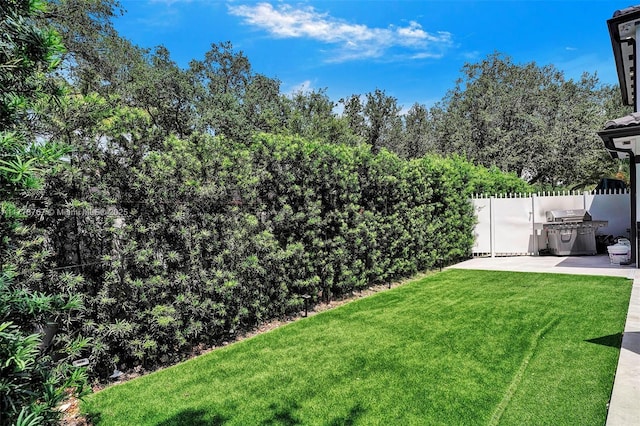 view of yard with a patio and fence