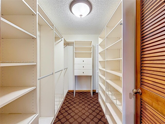 547 Deer Creek Run, Deerfield Beach, FL 33442 - view of walk in closet