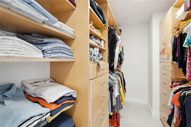 10225 Collins Ave Unit 904, Bal Harbour, FL 33154 - view of walk in closet