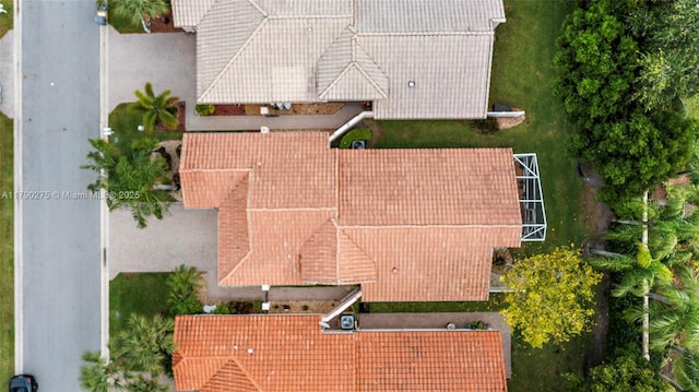bird's eye view