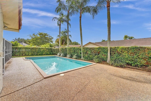 view of swimming pool featuring a patio area and a fenced backyard