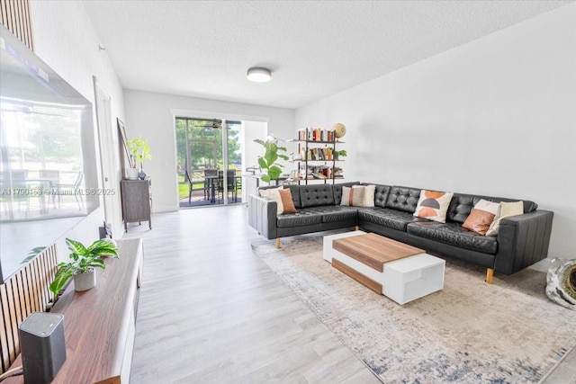 10730 NW 66 Unit 101, Doral, FL 33178 - living area with wood finished floors and a textured ceiling