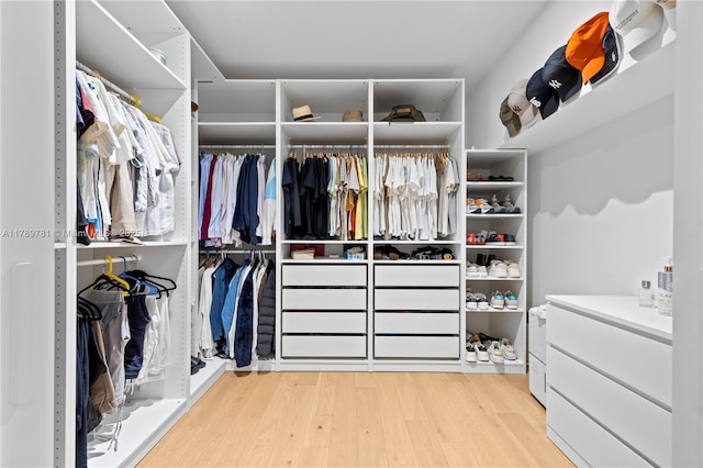 spacious closet featuring wood finished floors
