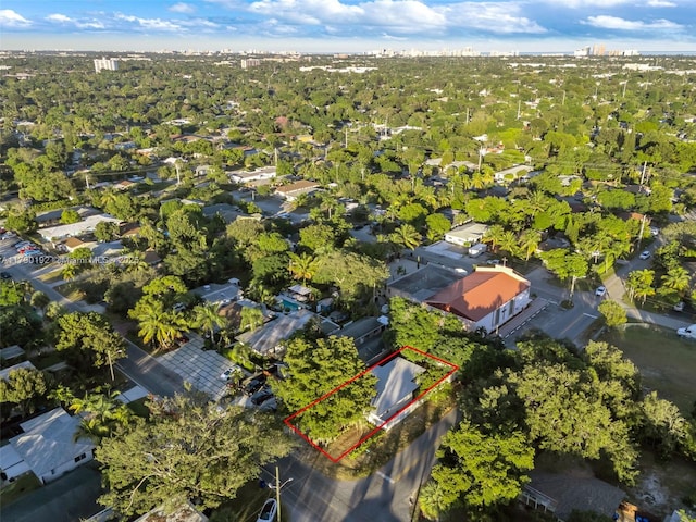 bird's eye view
