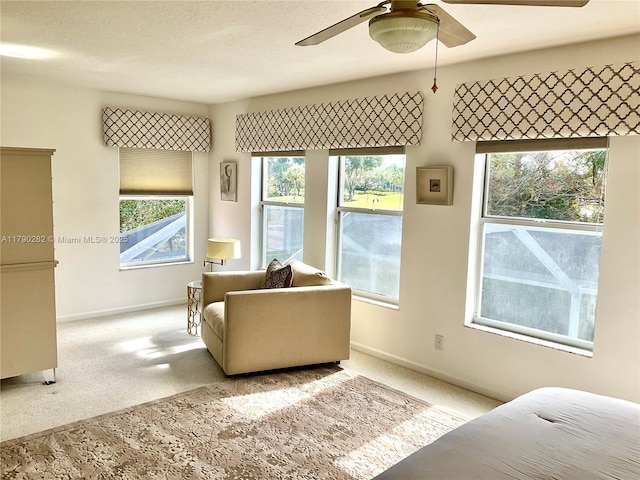 interior space featuring ceiling fan, plenty of natural light, baseboards, and carpet floors