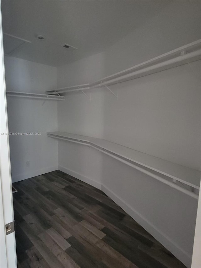 spacious closet featuring dark wood-style flooring