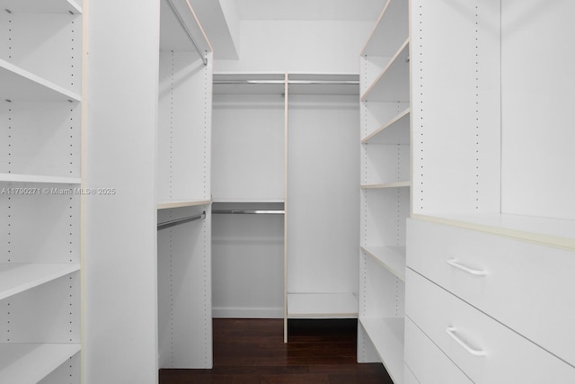 300 S Pointe Dr Unit 405, Miami Beach, FL 33139 - walk in closet with wood finished floors