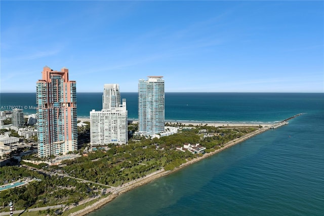 300 S Pointe Dr Unit 405, Miami Beach, FL 33139 - bird's eye view with a water view
