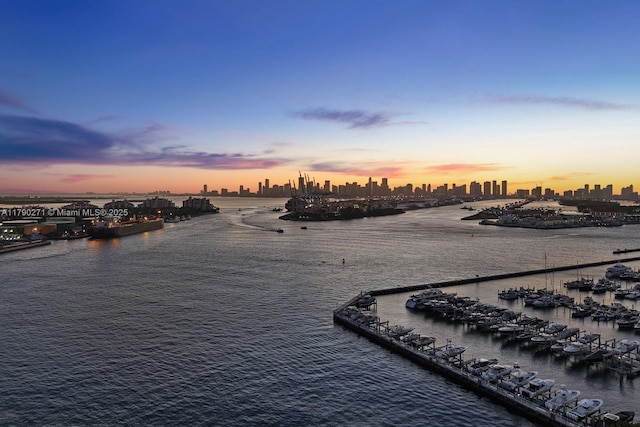 300 S Pointe Dr Unit 405, Miami Beach, FL 33139 - view of water feature featuring a city view