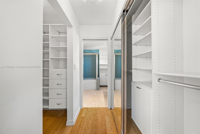 1775 Washington Ave Unit 11C, Miami Beach, FL 33139 - walk in closet with light wood-type flooring