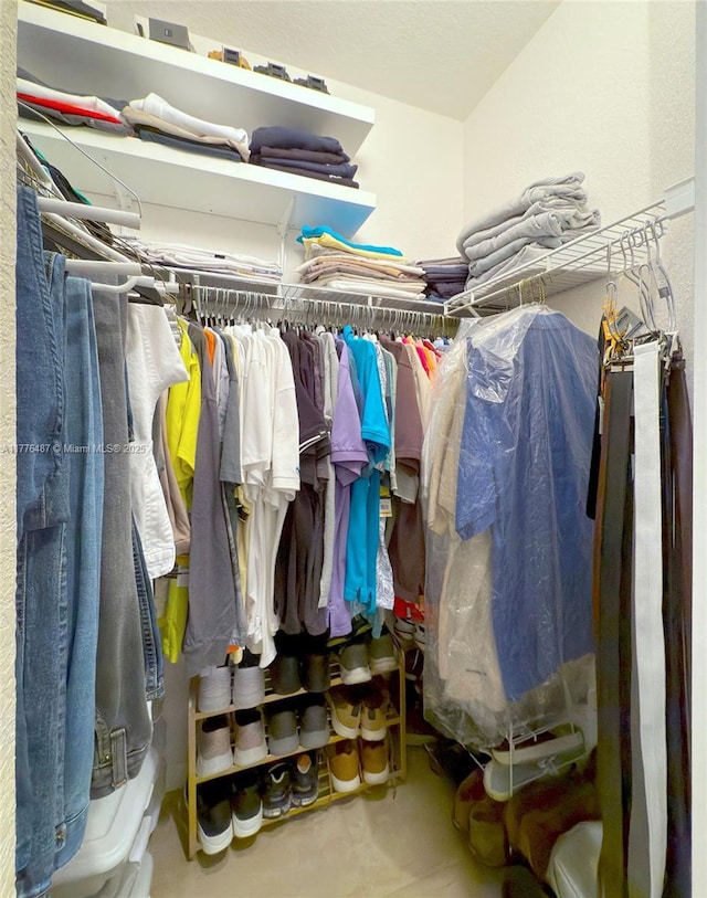 view of spacious closet