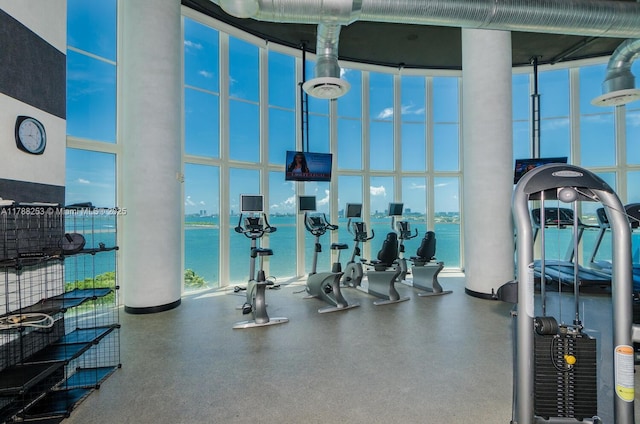 exercise room featuring a towering ceiling