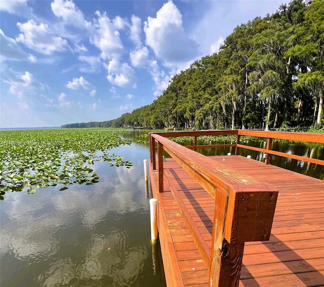 15618 SE US Highway 301, Hawthorne, FL 32640 - dock area with a water view