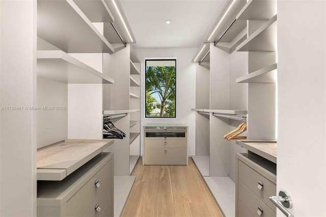 spacious closet featuring light wood finished floors