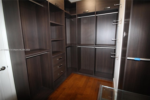 walk in closet featuring dark wood finished floors