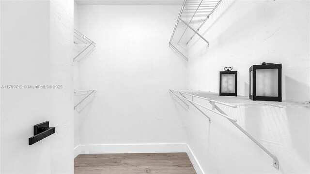 840 NW 87th Ave Unit 204, Miami, FL 33172 - walk in closet with light wood finished floors