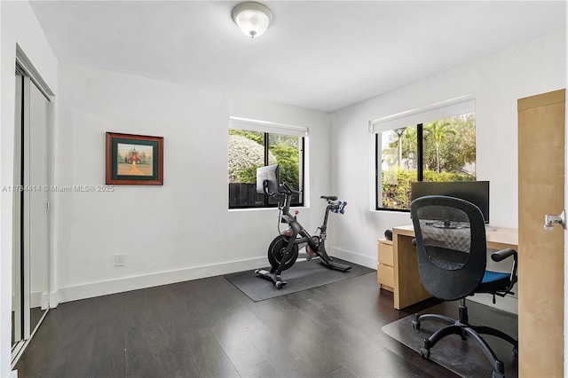 office space with baseboards and dark wood-style flooring