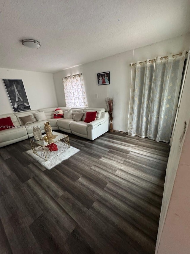 living area featuring wood finished floors and a textured ceiling