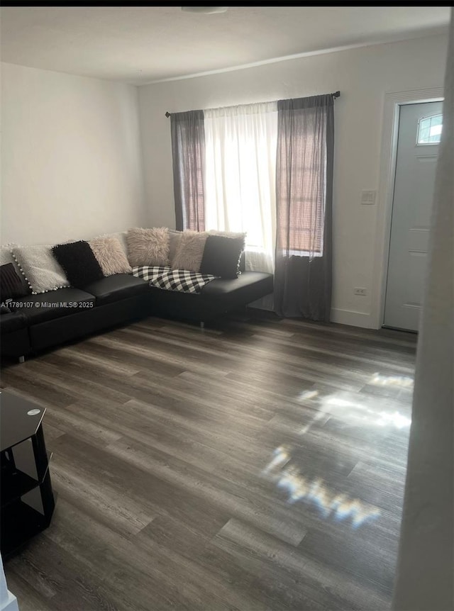 living room featuring wood finished floors