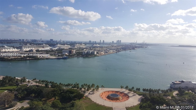 view of water feature featuring a city view