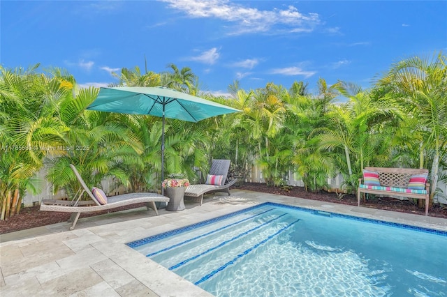 1543 NW 182nd Way, Pembroke Pines, FL 33029 - view of swimming pool featuring a patio