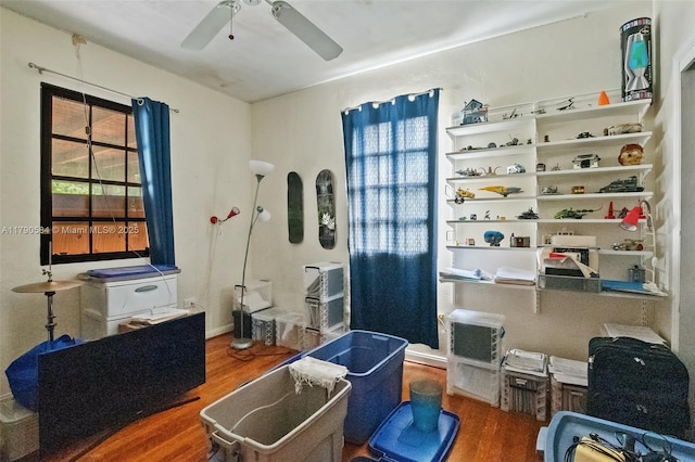 interior space featuring ceiling fan, a wealth of natural light, and wood finished floors