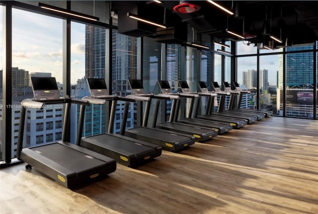 398 NE 5th St Unit 1515, Miami, FL 33132 - workout area with wood finished floors, a healthy amount of sunlight, a city view, and expansive windows