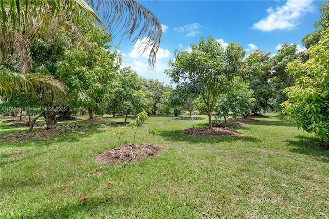 17450 SW 192nd St, Miami, FL 33187 - photo 15