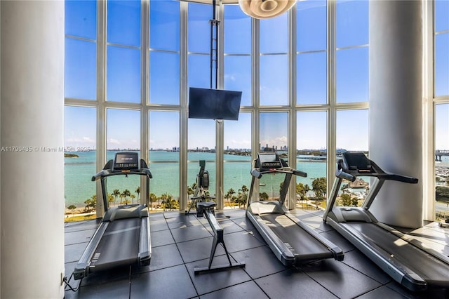 1800 N Bayshore Dr Unit 509, Miami, FL 33132 - exercise room featuring floor to ceiling windows and a towering ceiling