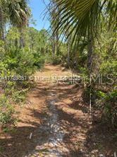 1 Grant, Grant, Grant Valkaria, FL 32