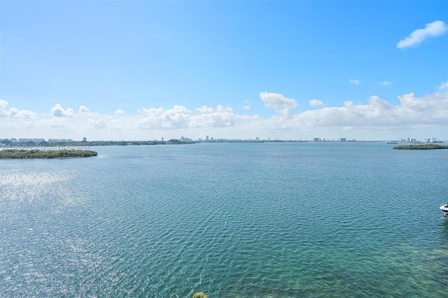 11930 N Bayshore Dr Unit 1007, North Miami, FL 33181 - view of water feature