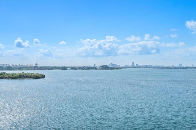11930 N Bayshore Dr Unit 1007, North Miami, FL 33181 - property view of water with a view of city